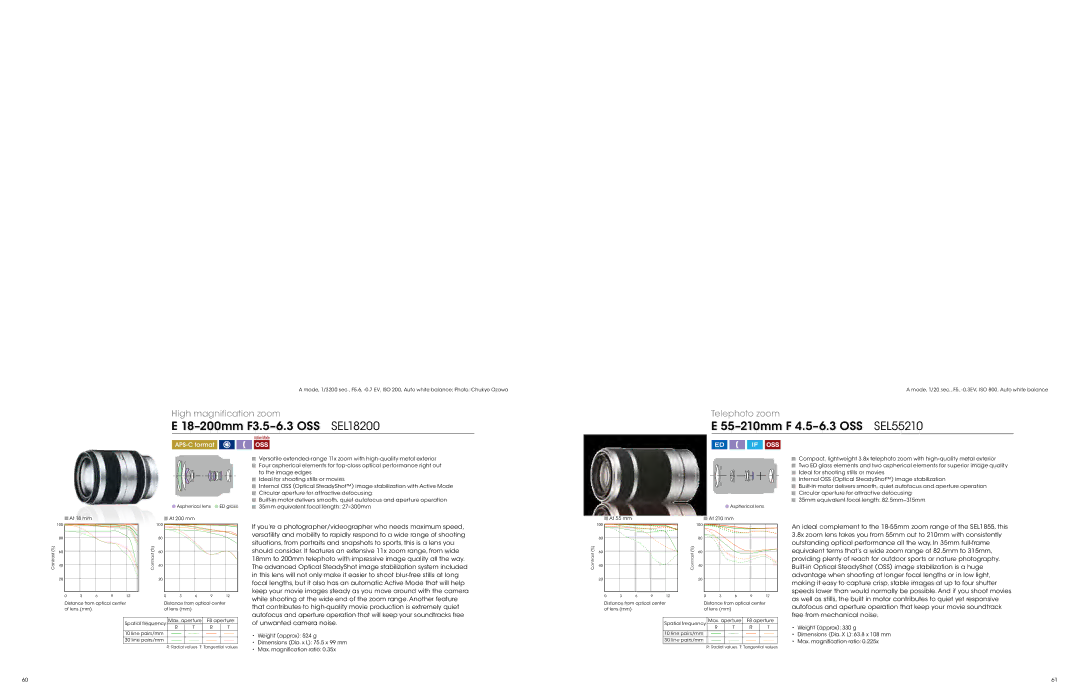 Sony ALC-F55A, LCL60AM, ALCSH0006 18-200mm F3.5-6.3 OSS SEL18200, 55-210mm F 4.5-6.3 OSS SEL55210, Unwanted camera noise 