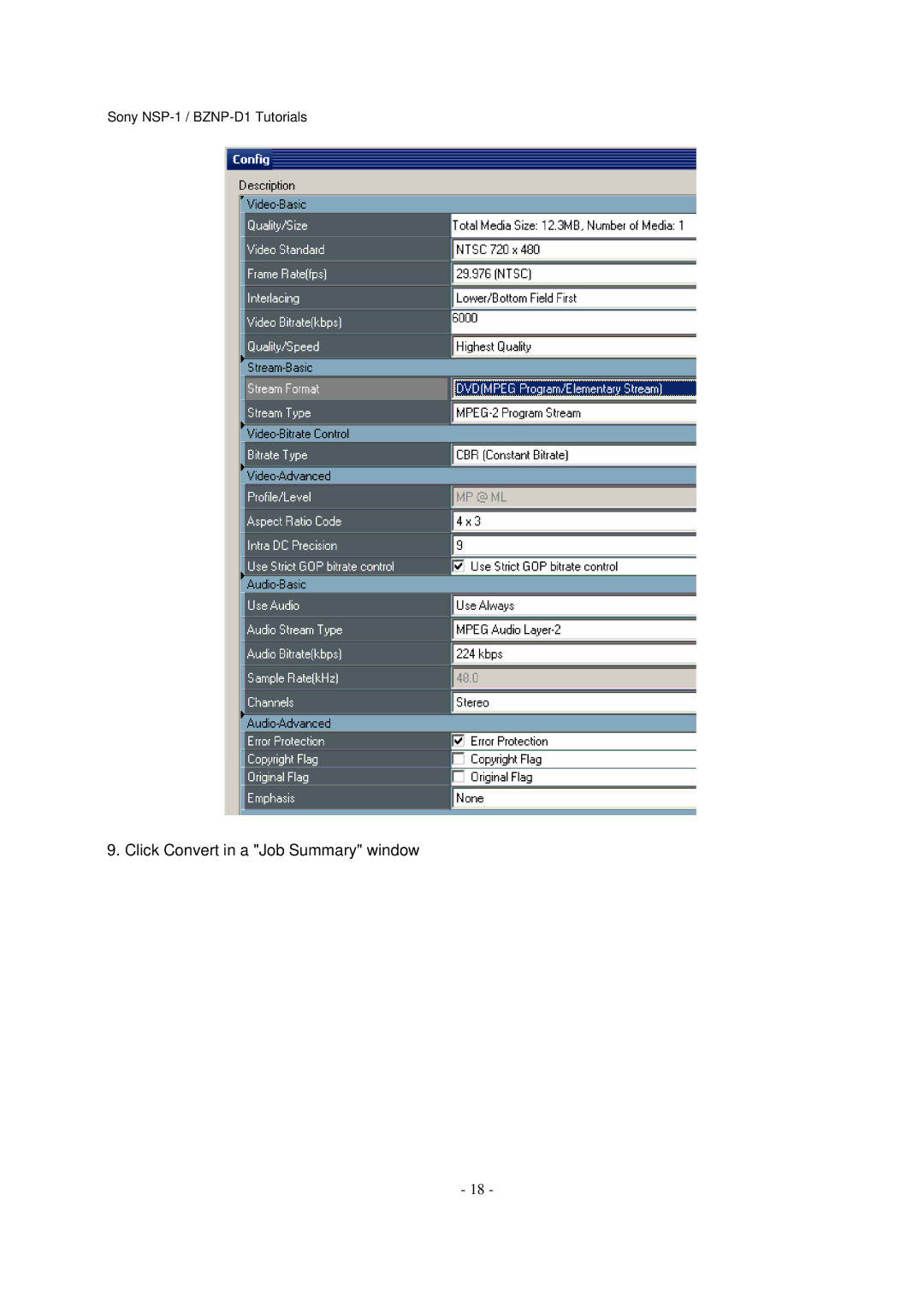 Sony NSP-1, BZNP-D1 manual Click Convert in a Job Summary window 