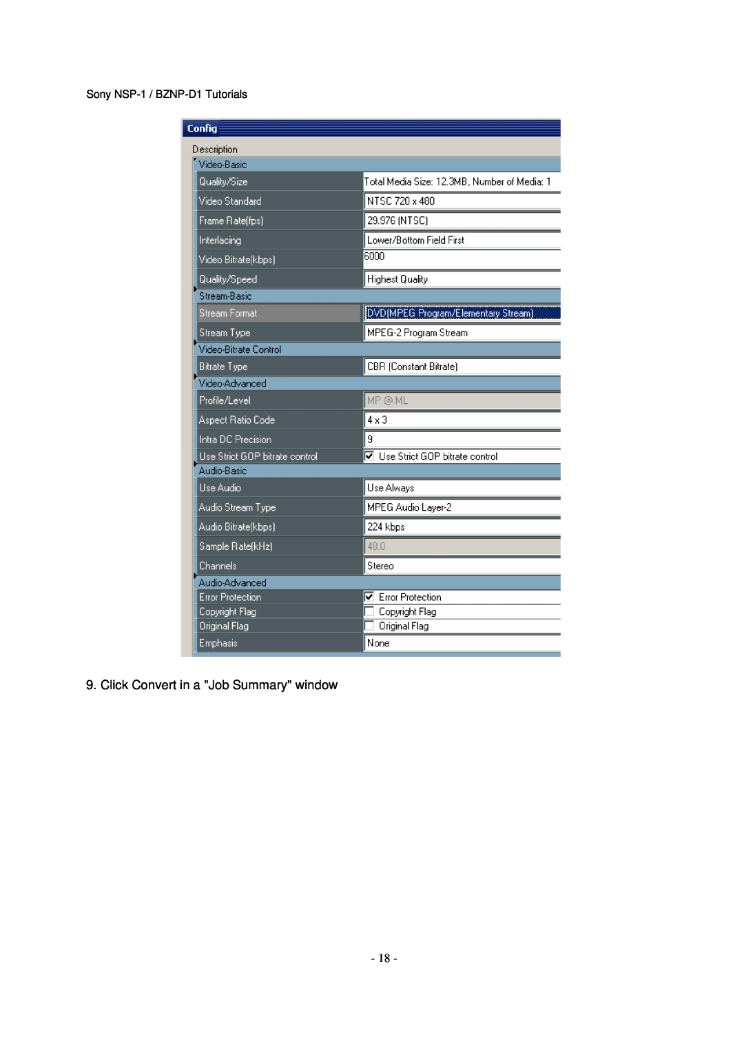 Sony manual Click Convert in a Job Summary window, Sony NSP-1 / BZNP-D1Tutorials 