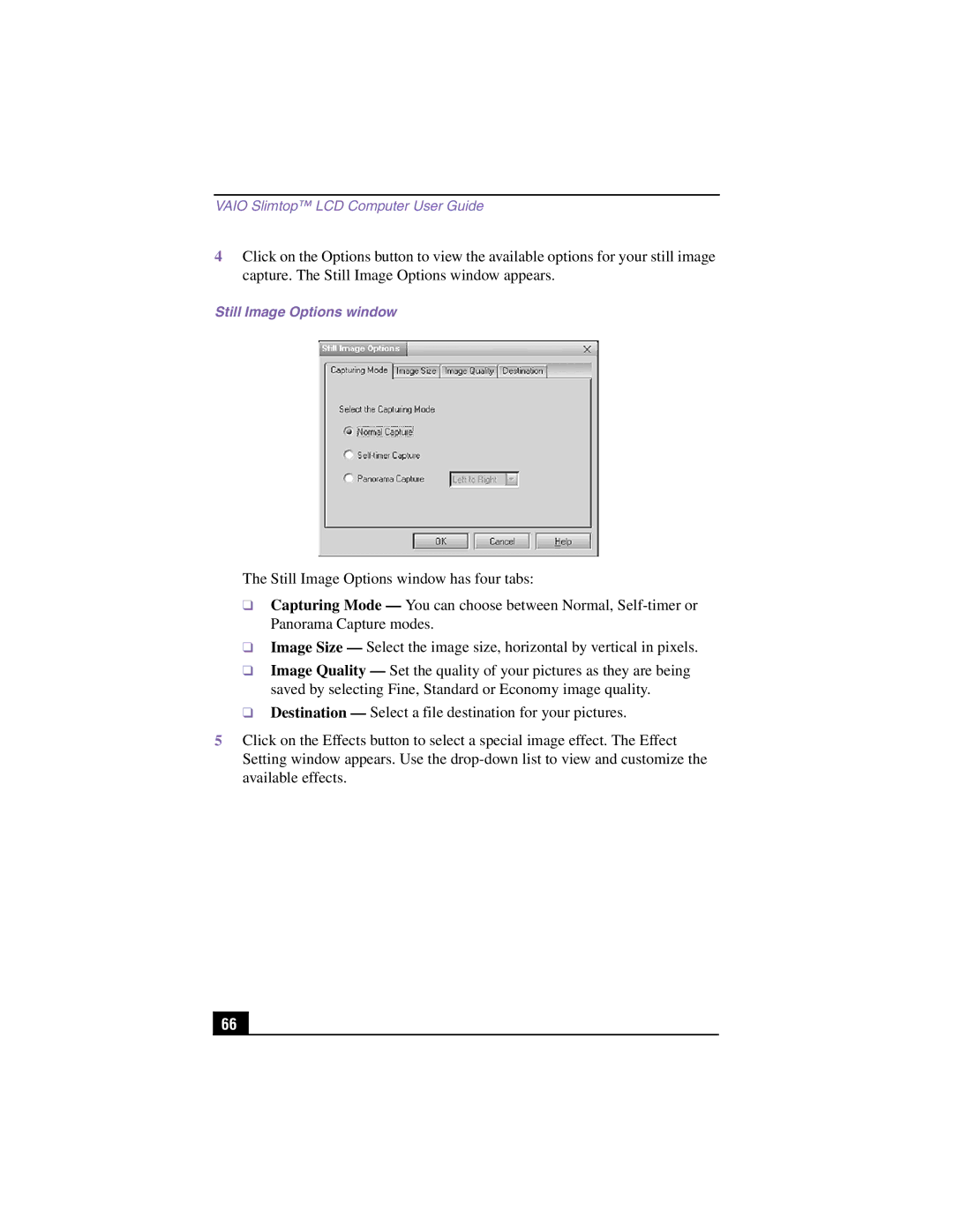 Sony PCV-LX810, PCV-LX910 manual Still Image Options window 