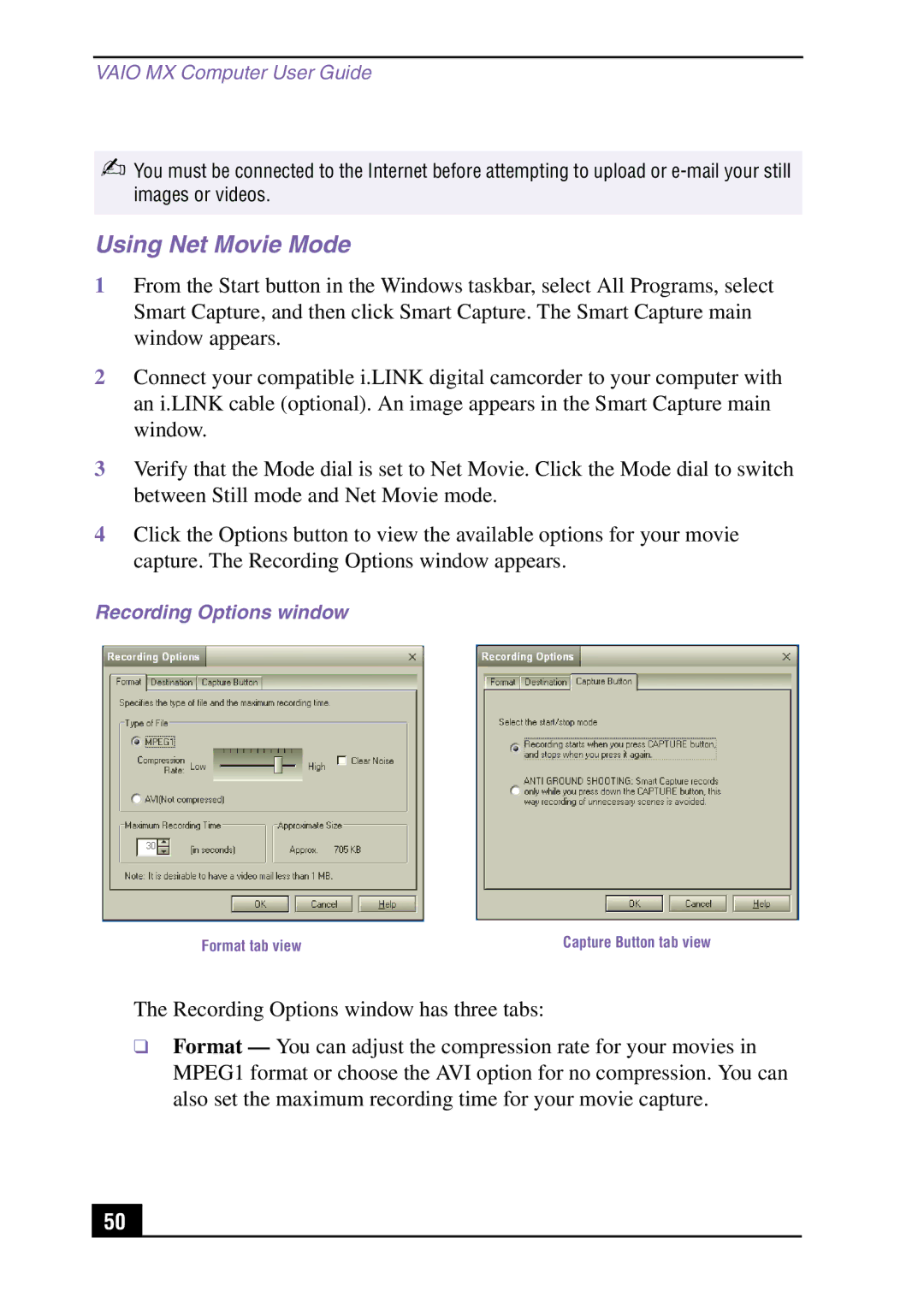 Sony PCV-MXS10 manual Using Net Movie Mode, Recording Options window 