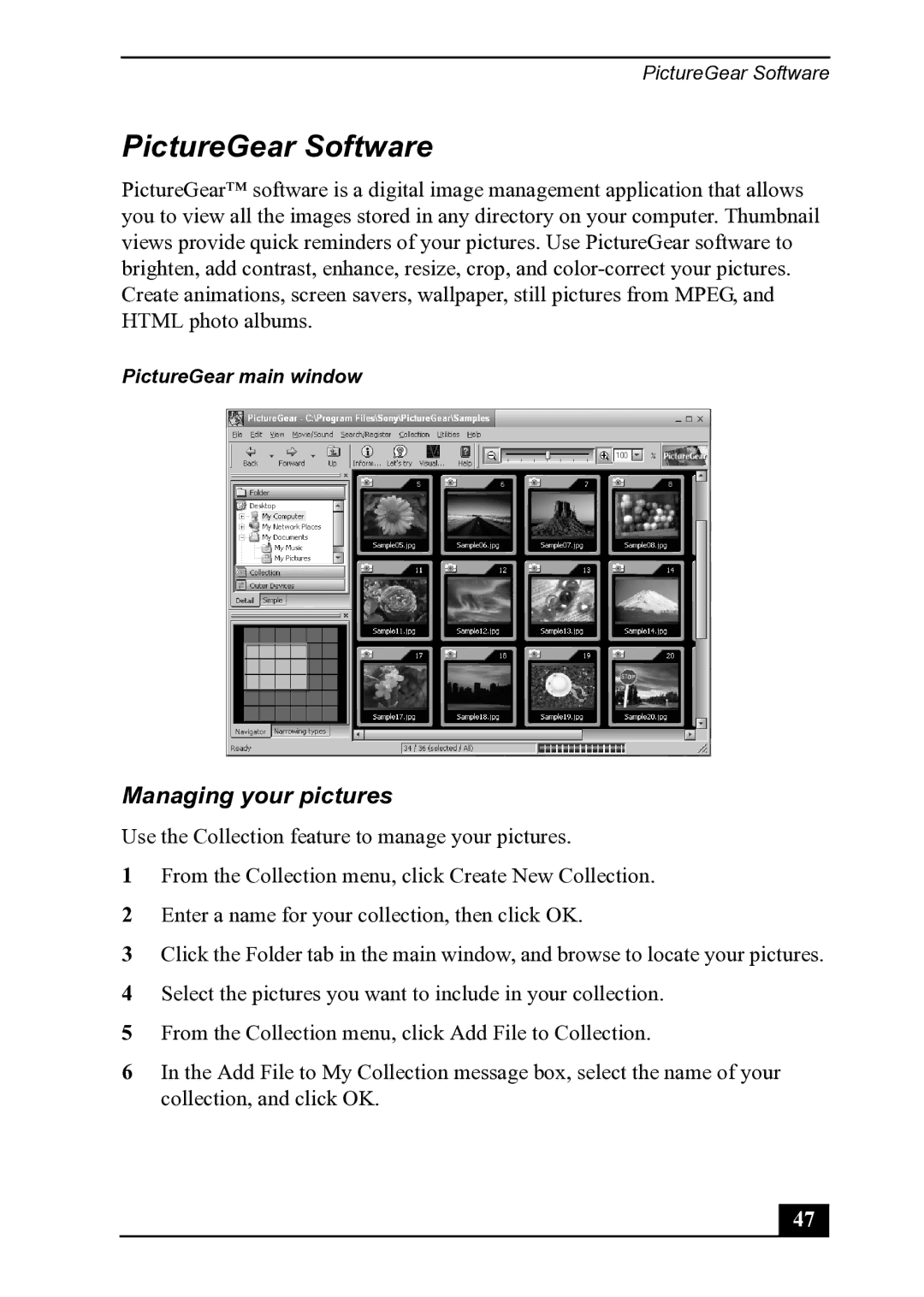 Sony PCV-MXS20 manual PictureGear Software, Managing your pictures 