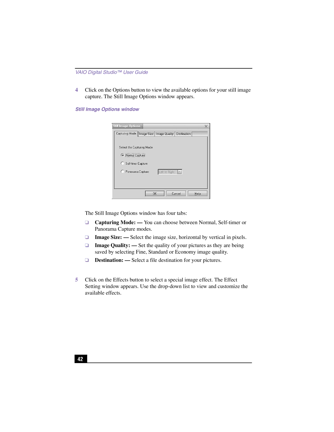 Sony PCV-RX370DS, PCV-RX380DS manual Still Image Options window 