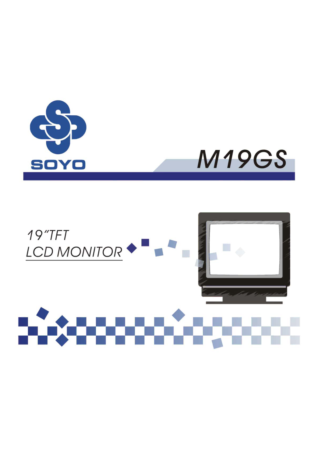 SOYO M19GS manual 