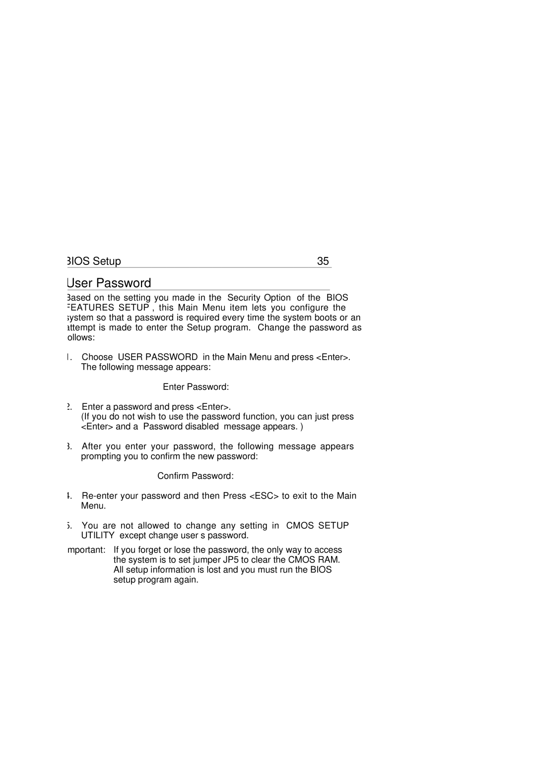 SOYO P55C, P54C manual User Password 