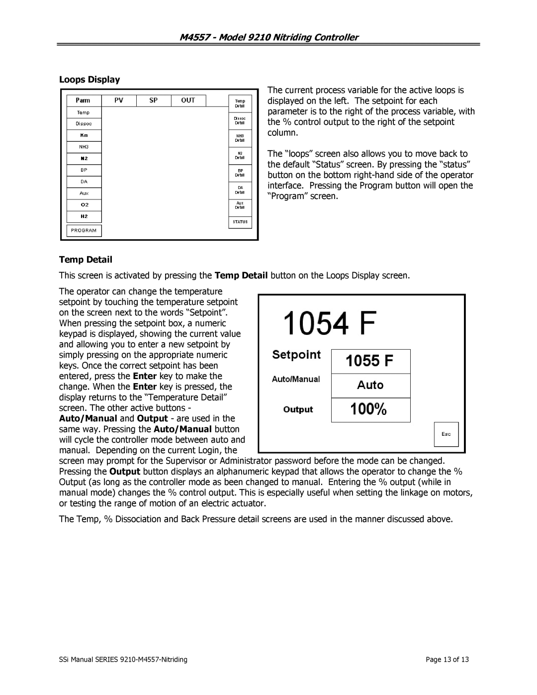 SSI America 9210 user manual Loops Display, Temp Detail 