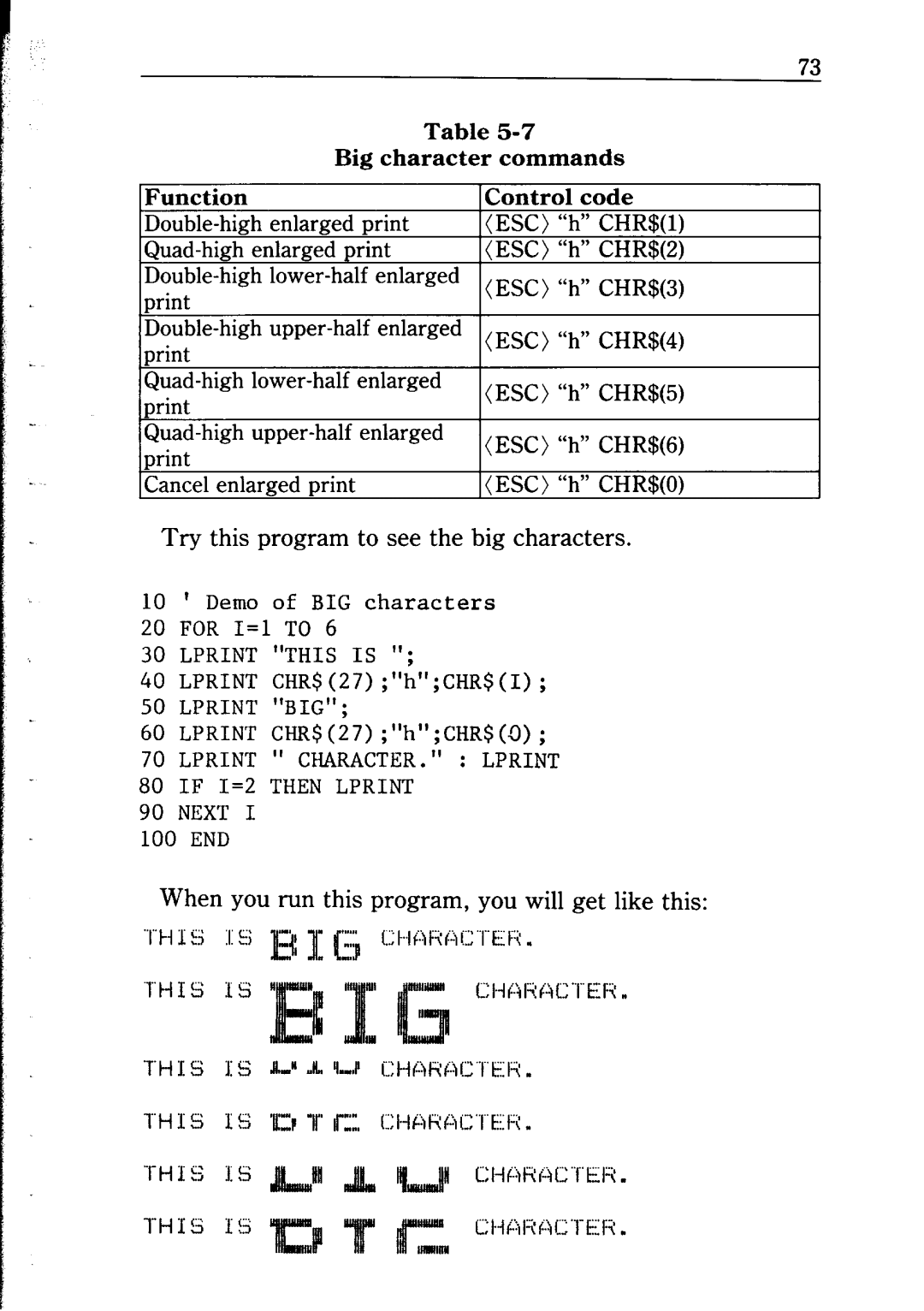 Star Micronics NP-IO manual Big character commands Function 