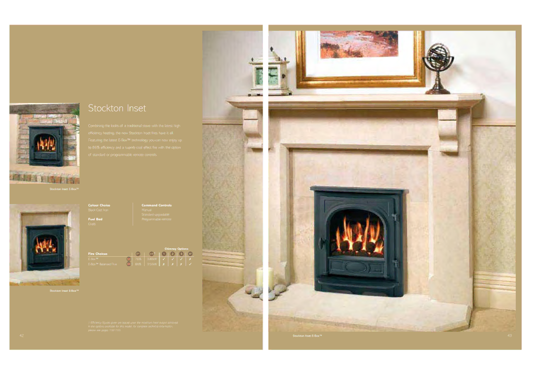 Stovax Gas and Electric Fires brochure Stockton Inset, Black Cast Iron, Manual Standard upgradable Programmable remote 