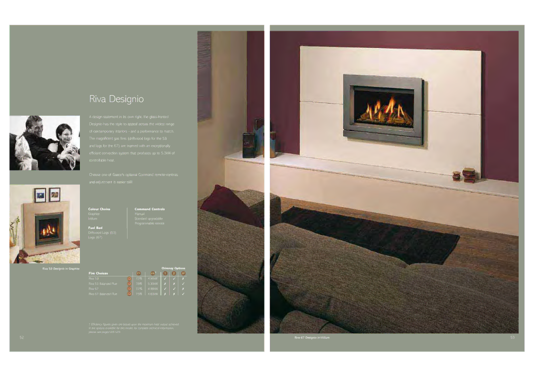 Stovax Gas and Electric Fires brochure Riva Designio, Graphite Manual Iridium, Driftwood Logs, 60kW 