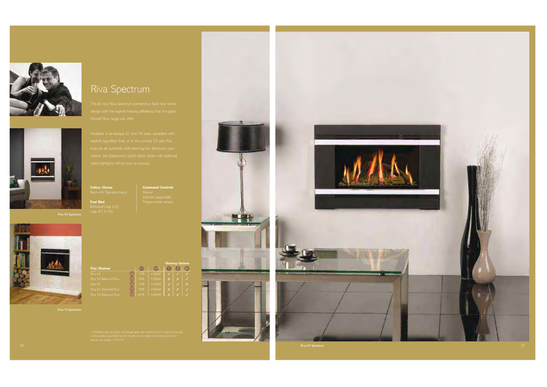 Stovax Gas and Electric Fires brochure Riva Spectrum, Black with Stainless inserts 