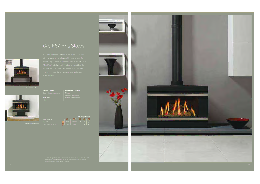 Stovax Gas and Electric Fires brochure Gas F67 Riva Stoves, Black with stainless inserts 