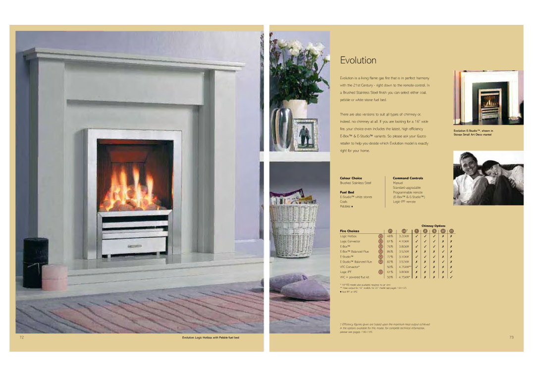 Stovax Gas and Electric Fires brochure Evolution, Brushed Stainless Steel 