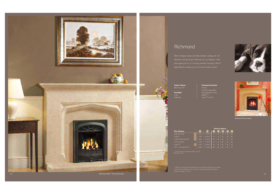 Stovax Gas and Electric Fires brochure Richmond, Black Cast Iron Manual, Coals Box Pebbles Logic IPF remote 