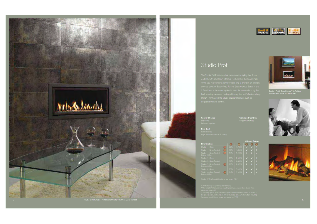 Stovax Gas and Electric Fires brochure Studio Profil, Anthracite Polished Stainless, 30kW Studio 2 Glass Fronted 