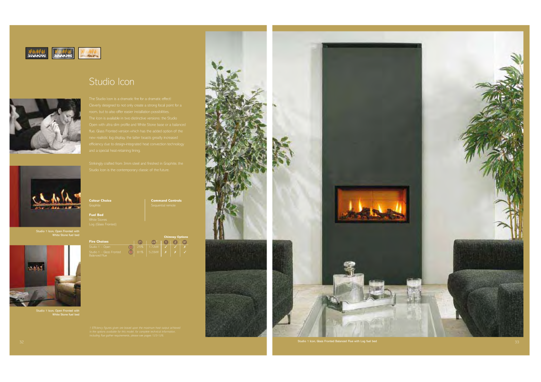 Stovax Gas and Electric Fires brochure Studio Icon 