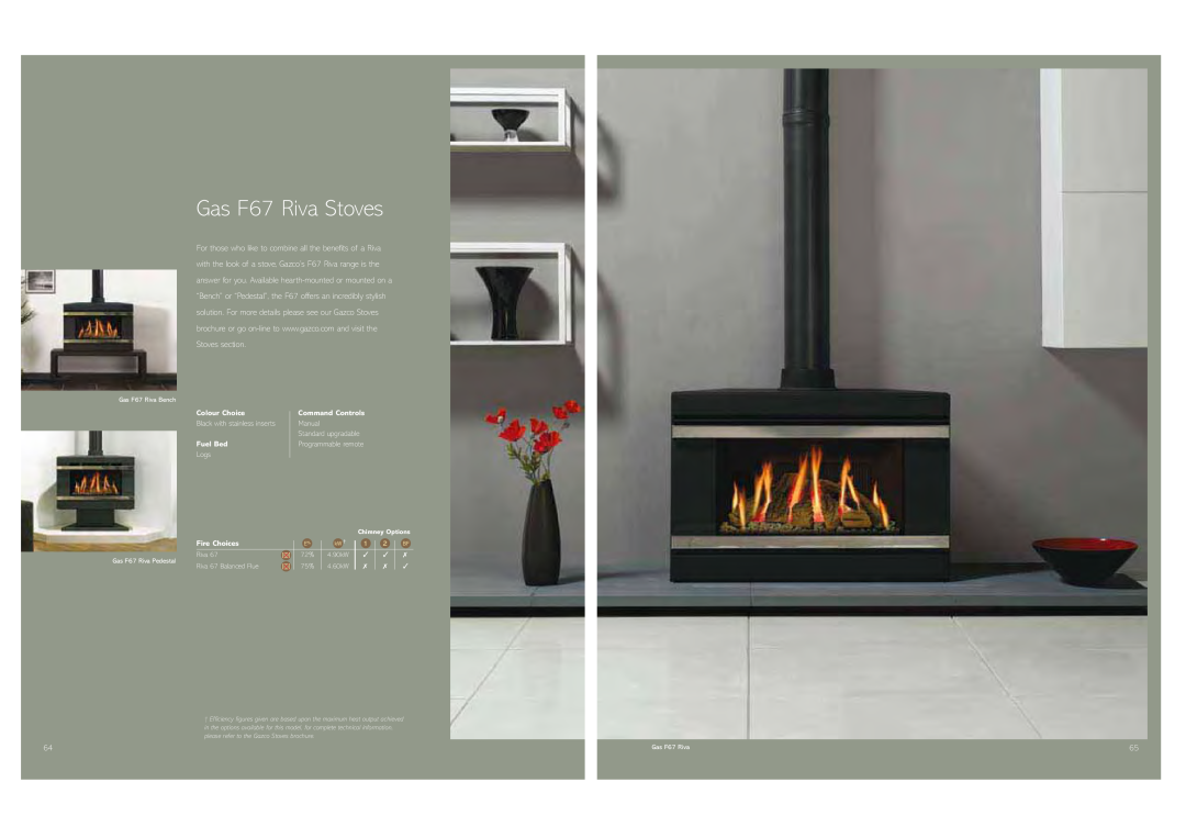 Stovax Gas and Electric Fires brochure Gas F67 Riva Stoves 