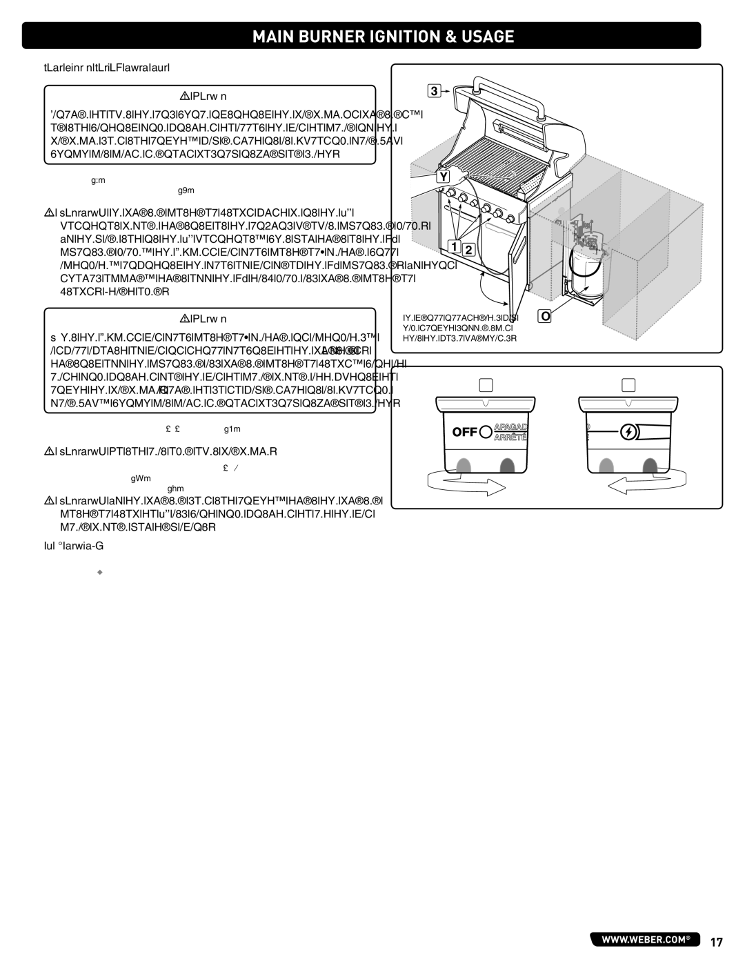 Summit 56575 manual Main Burner Manual Ignition 