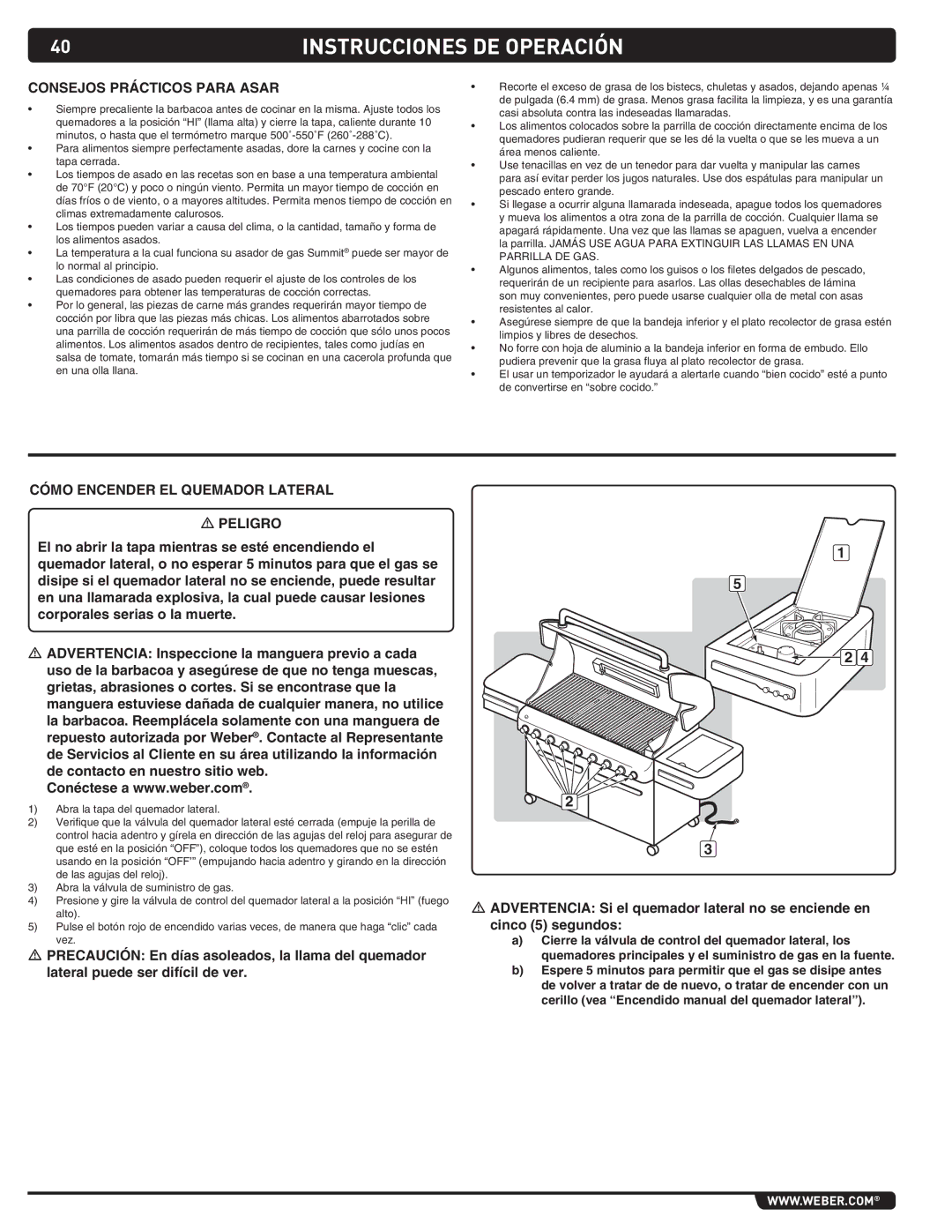 Summit 89208 manual Consejos prácticos para asar 