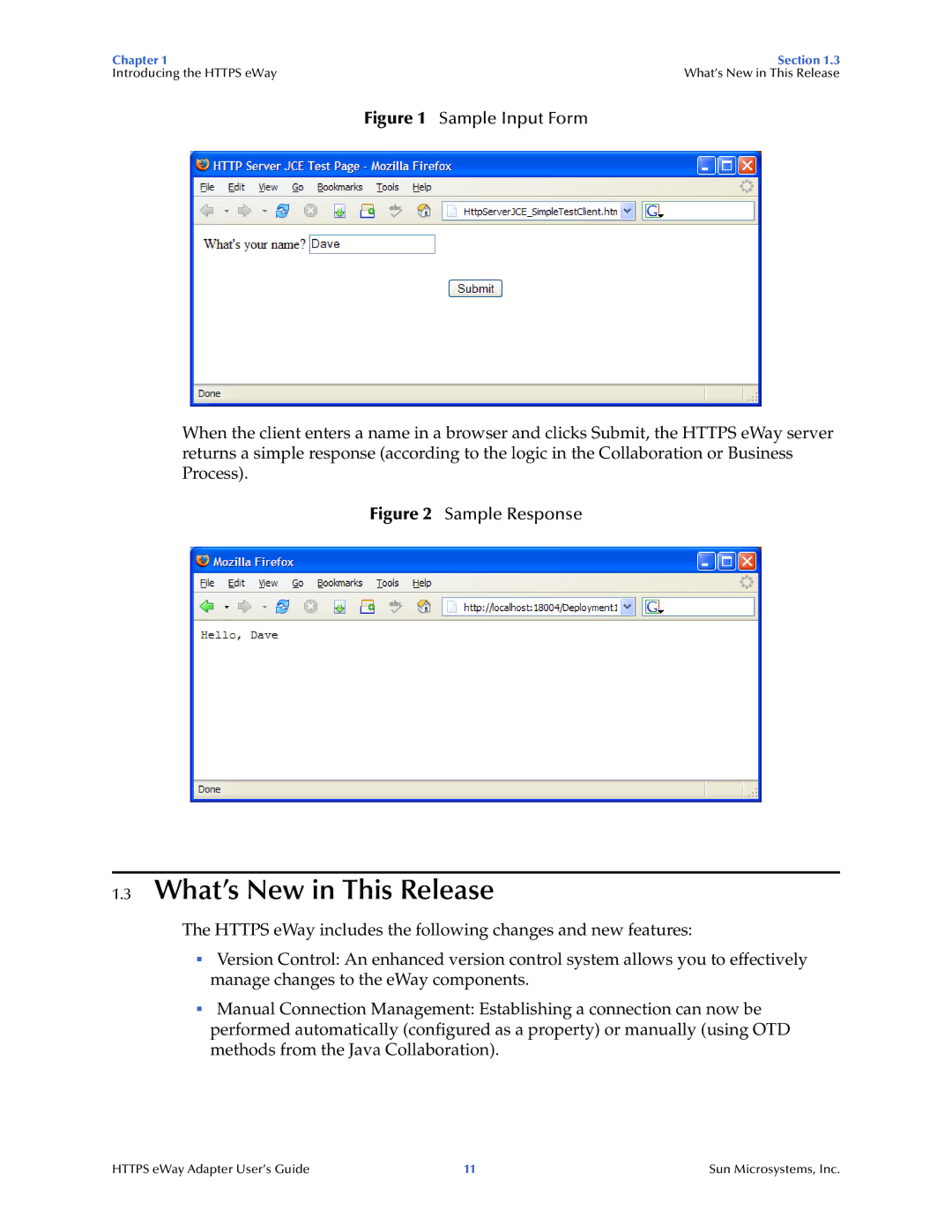 Sun Microsystems 5.1.1 manual What’s New in This Release, Sample Input Form 