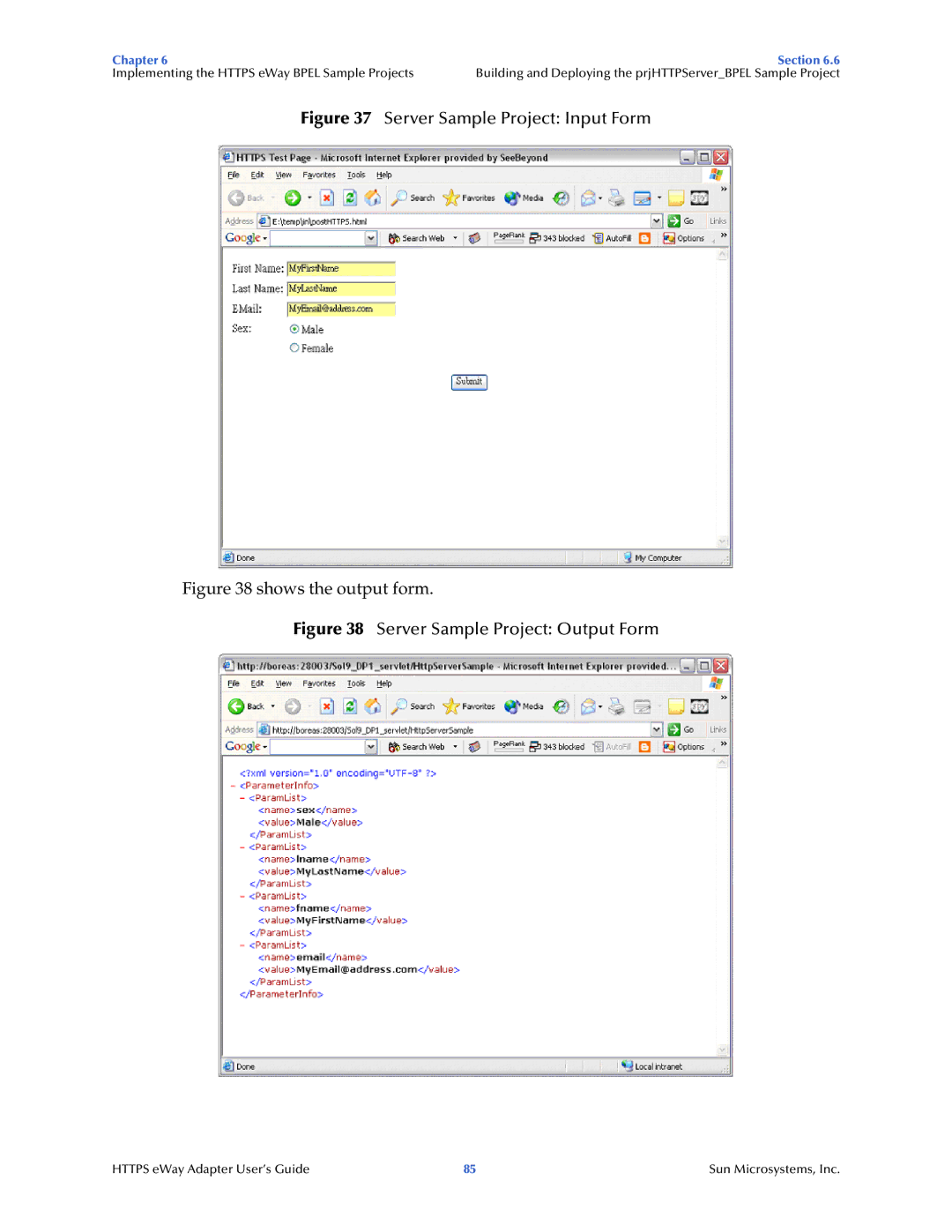 Sun Microsystems 5.1.1 manual Server Sample Project Input Form 