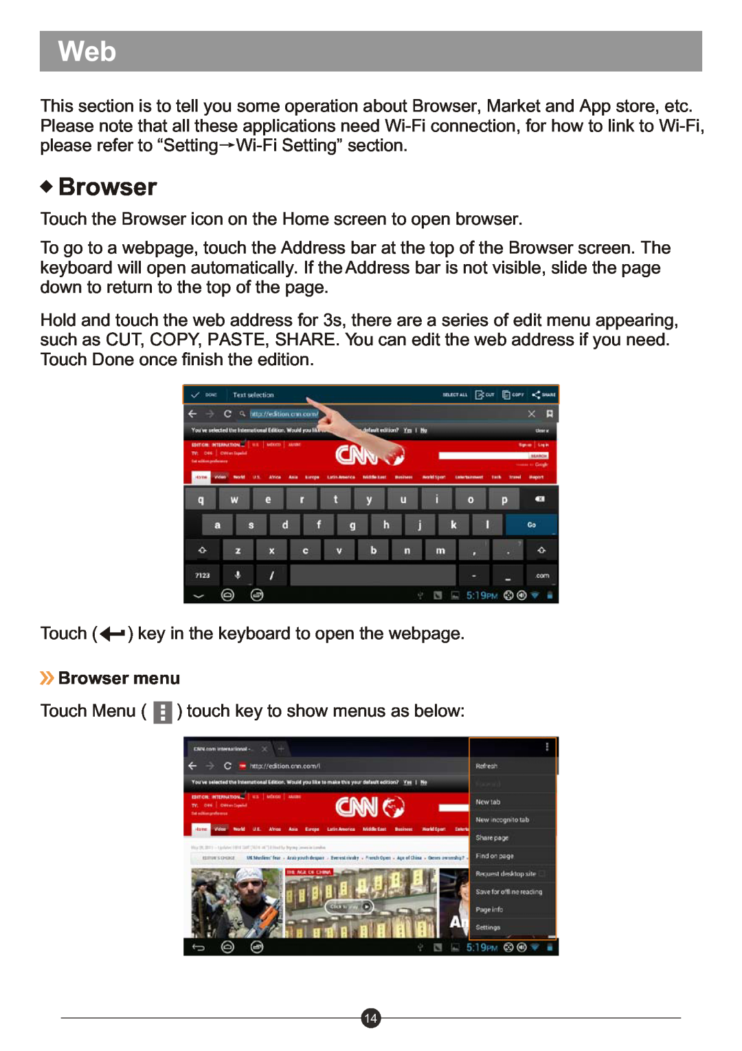 Sungale ID1019WTA user manual Browser 