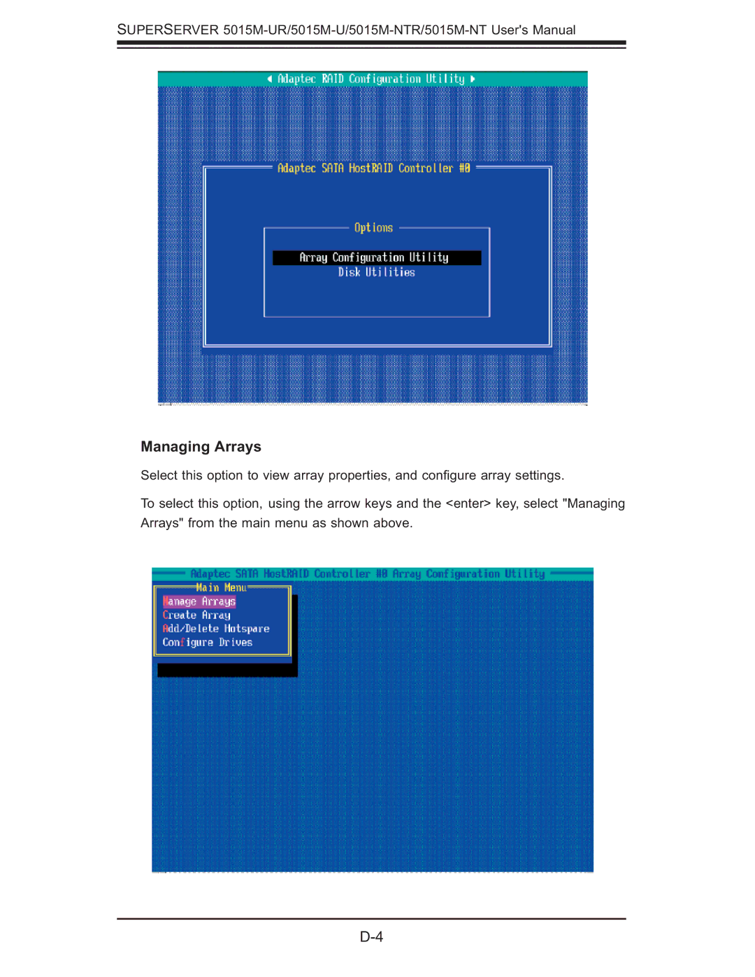 SUPER MICRO Computer 5015M-UR, 5015M-NTR user manual Managing Arrays 