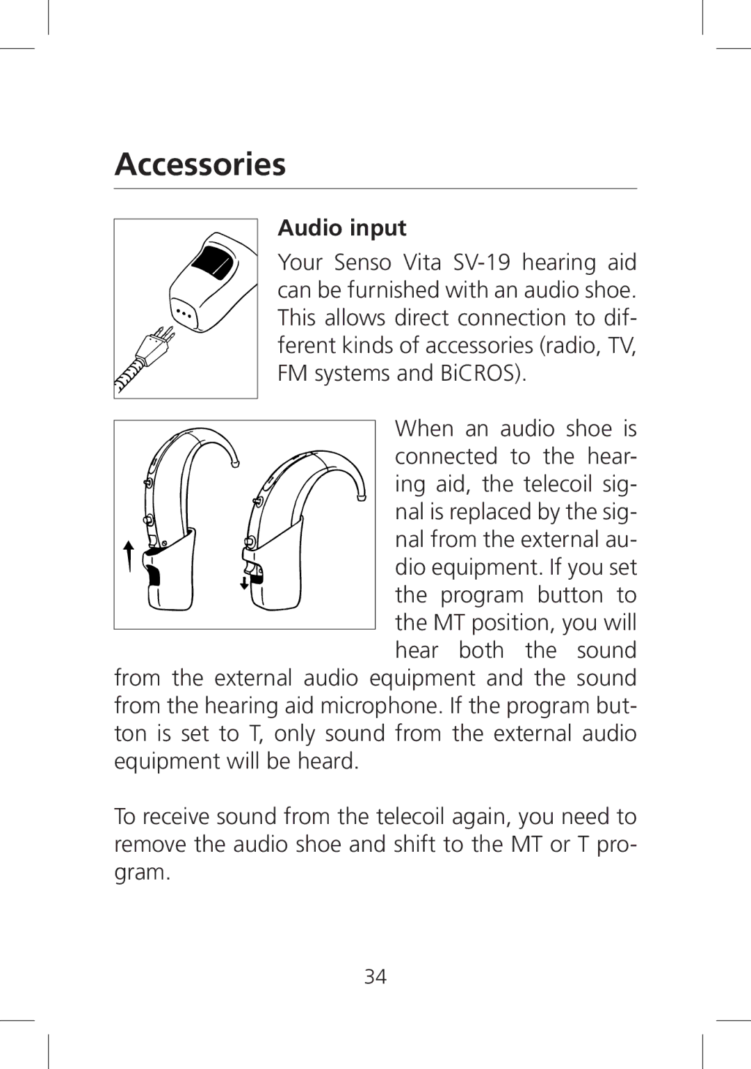 SV Sound SV-19 manual Accessories, Audio input 