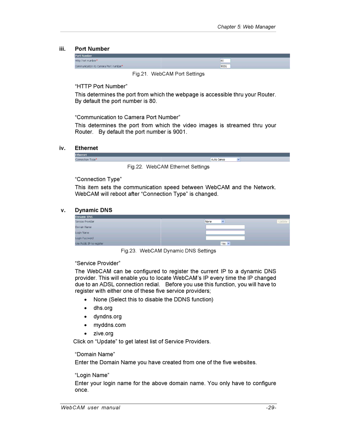 SVAT Electronics IP300, IP200, IP100 user manual Iii. Port Number, Iv. Ethernet, Dynamic DNS 