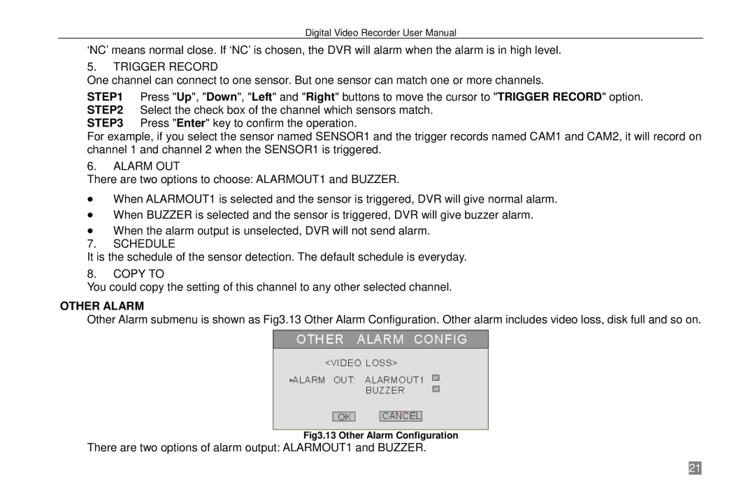 Swann P-6T4, SW242-6T4 manual Trigger Record, Other Alarm 