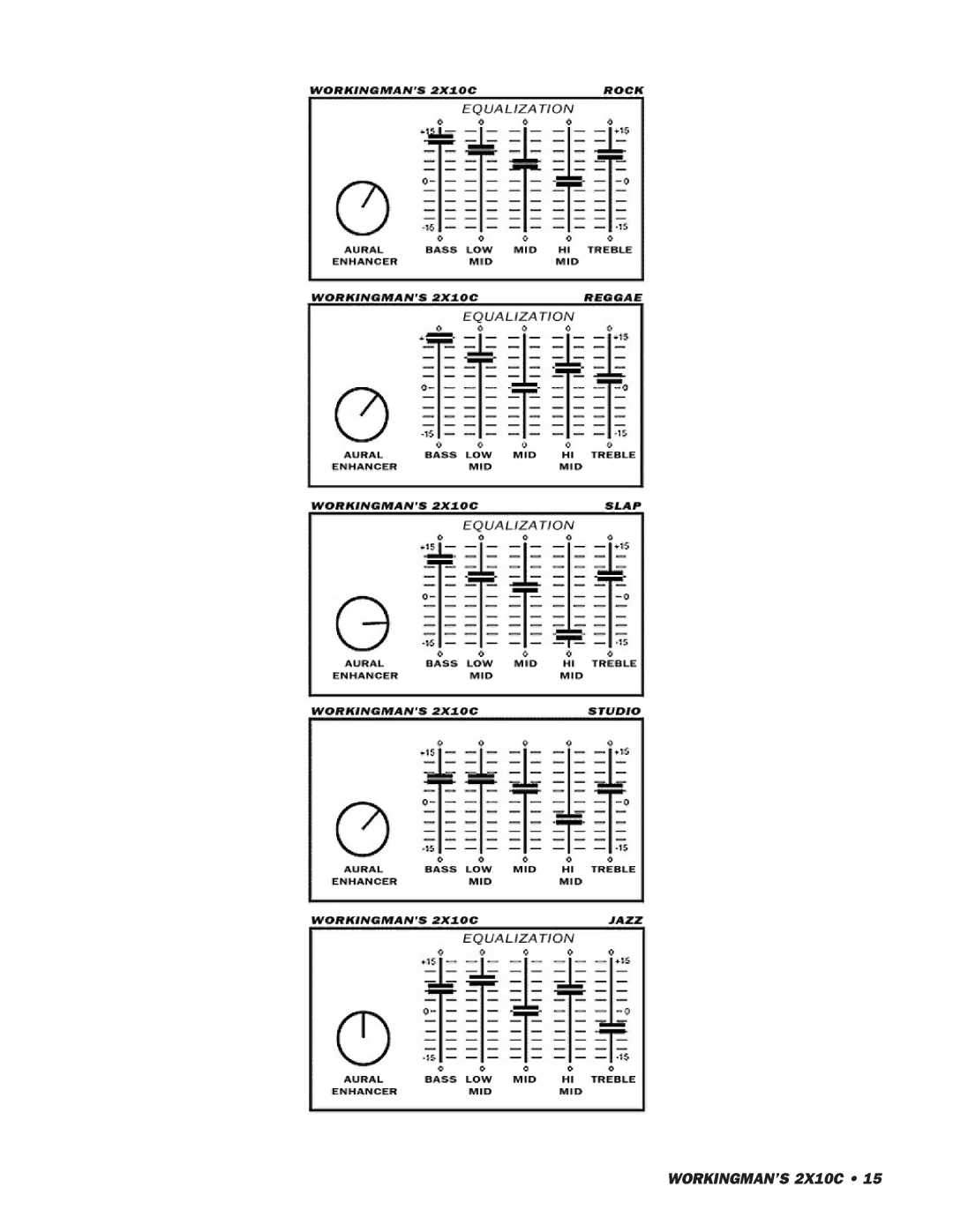 SWR Sound owner manual WORKINGMAN’S 2X10C 