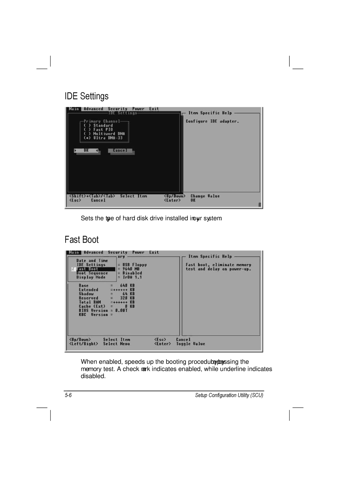 TAG 10 manual IDE Settings, Fast Boot 