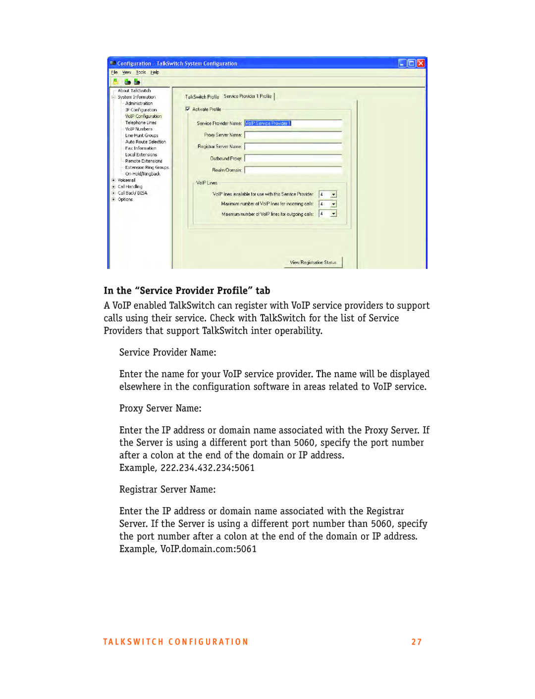 Talkswitch CT.TS005.001101.UK manual Service Provider Profile tab 