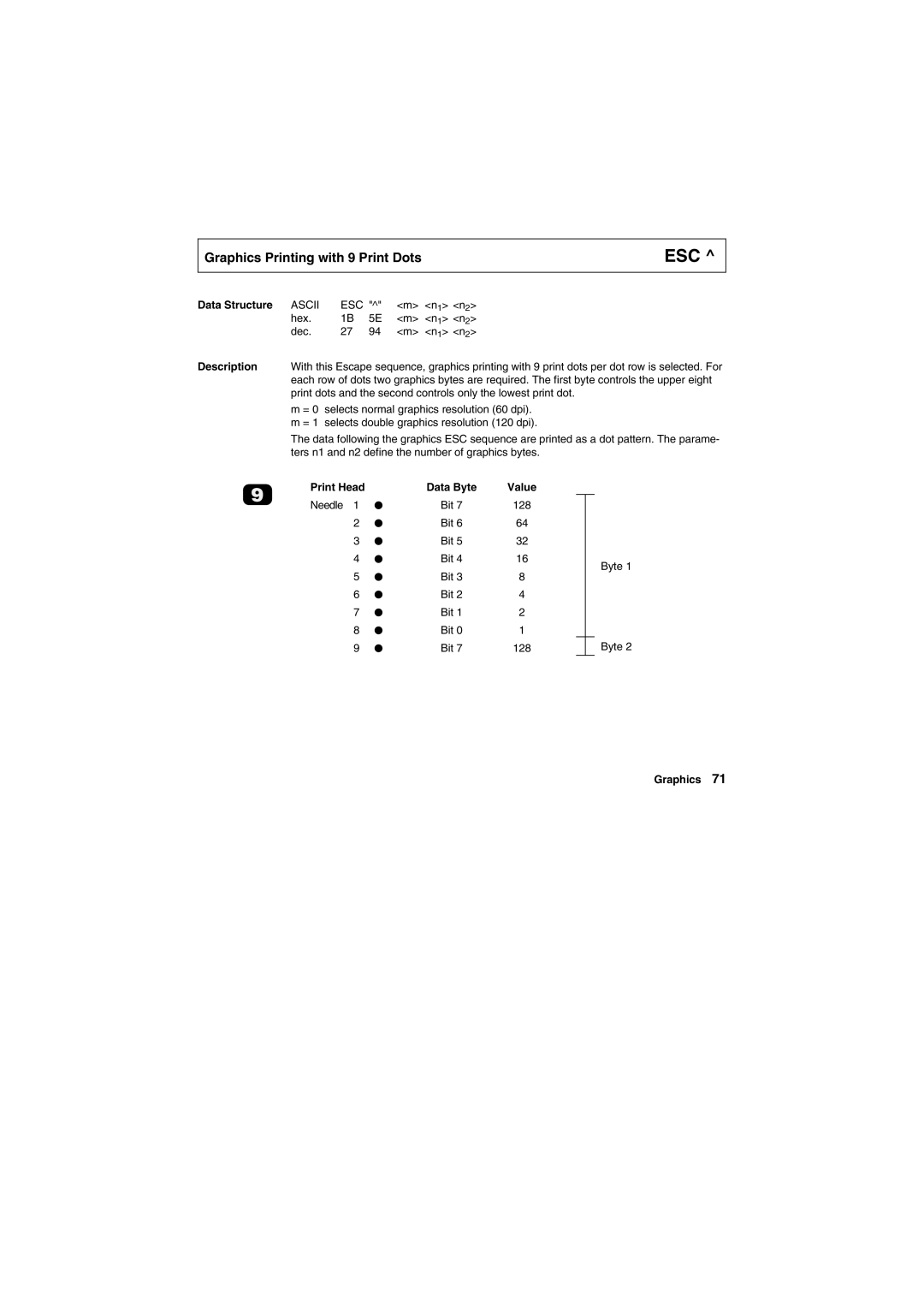 Tally Genicom Matrix Printer manual Graphics Printing with 9 Print Dots 