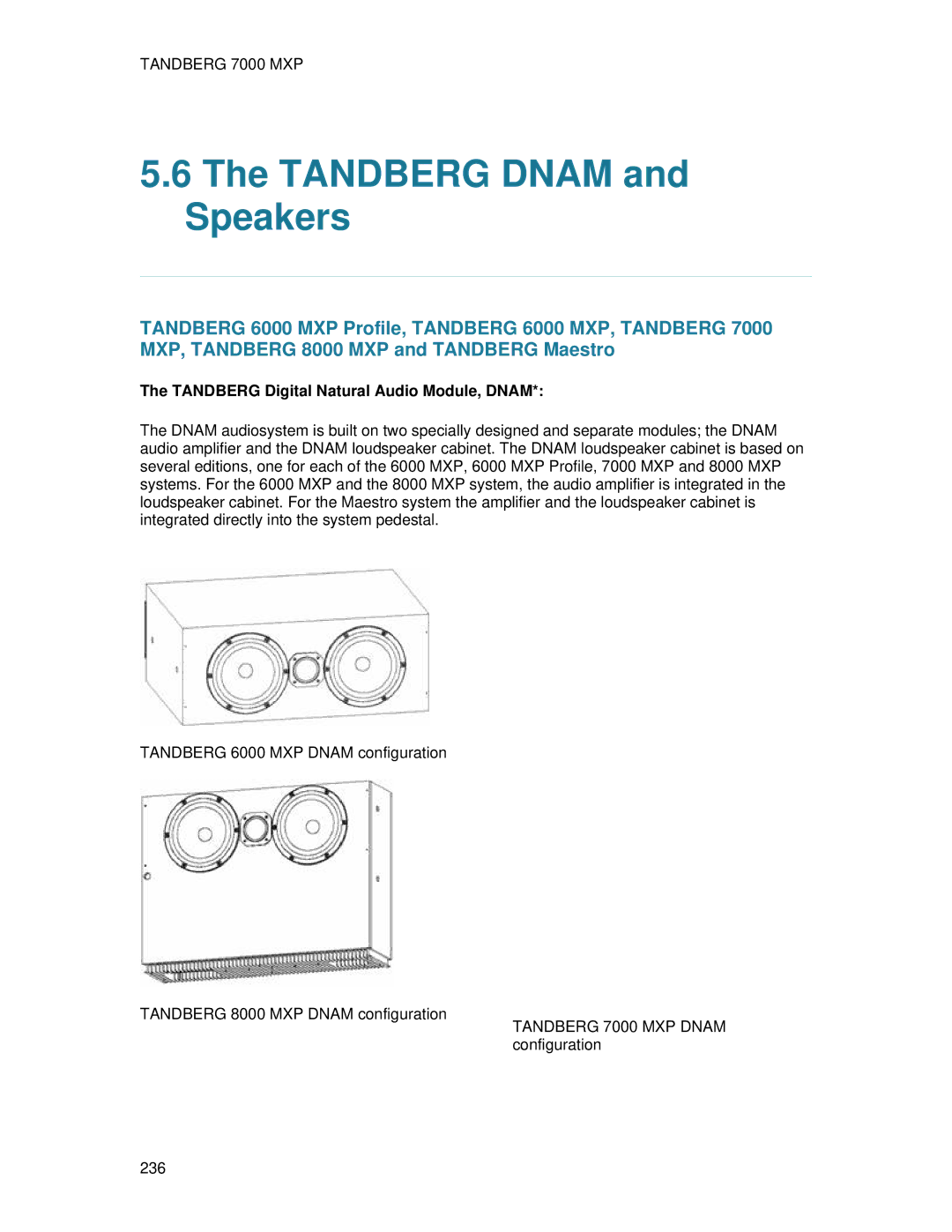 TANDBERG 700 MXP user manual Tandberg Dnam and Speakers, Tandberg Digital Natural Audio Module, Dnam 