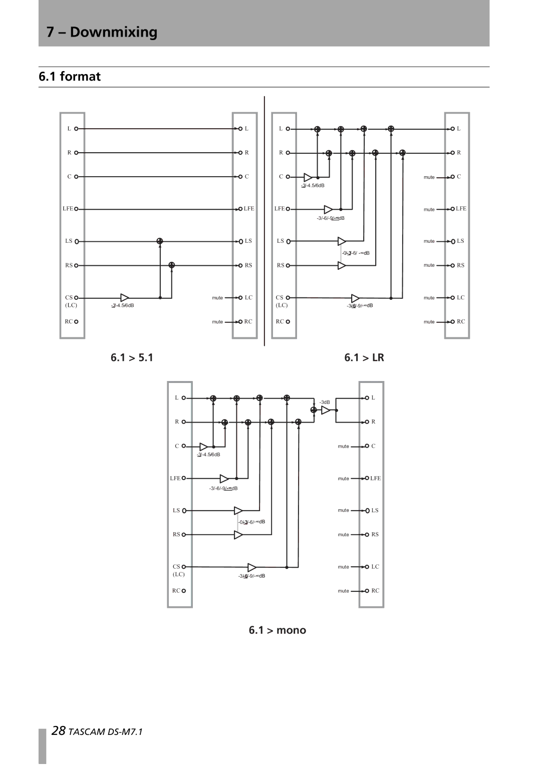 Tascam DS-M7.1 owner manual Format 