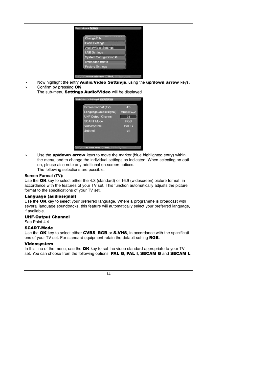 TechniSat Integrated IRDETO instruction manual Screen Format TV 