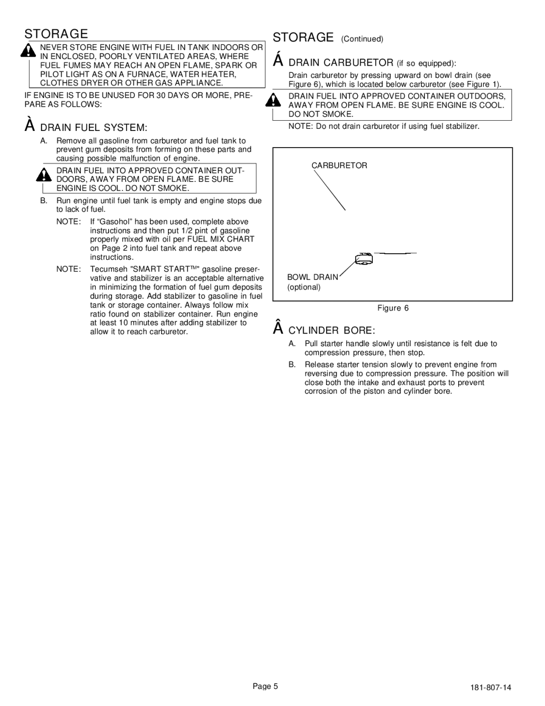 Tecumseh HSK845, 600, 850 important safety instructions Storage, Drain Fuel System, Cylinder Bore 