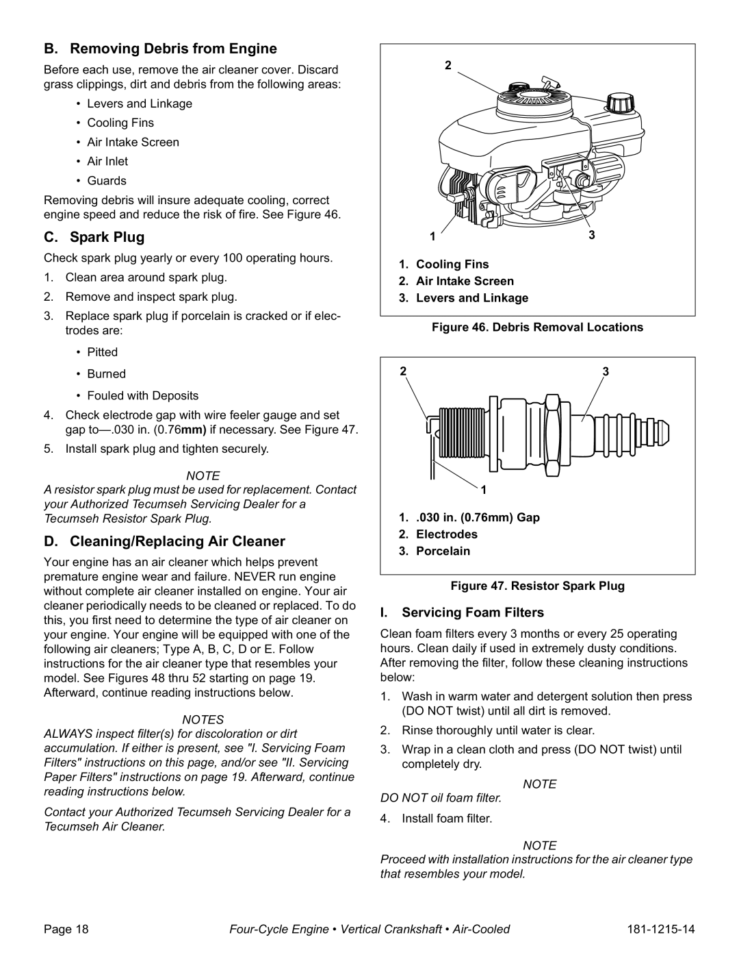 Tecumseh LV148XA, LV148EA Removing Debris from Engine, Spark Plug, Cleaning/Replacing Air Cleaner, Servicing Foam Filters 