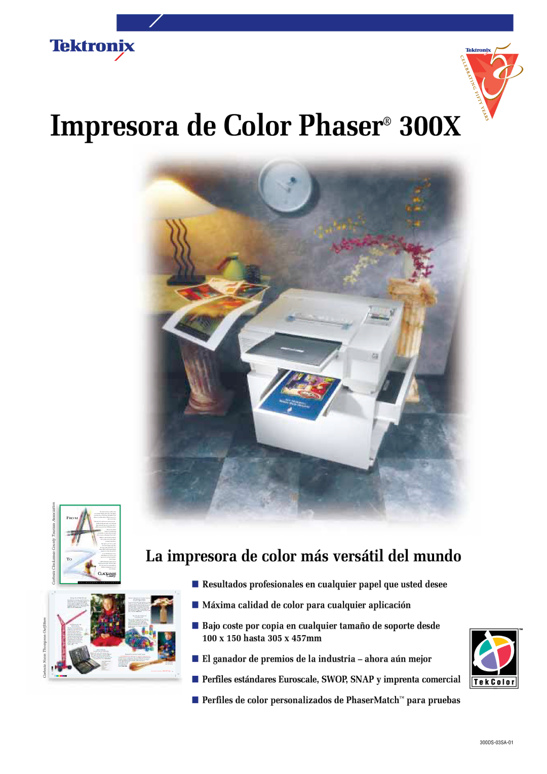 Tektronix 300X manual Impresora de Color Phaser 