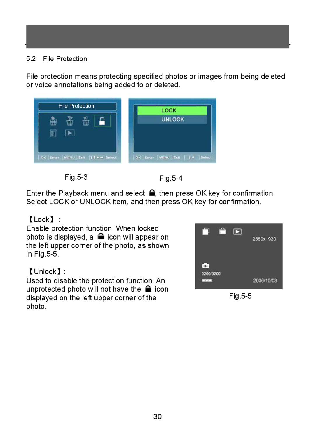 Tekxon Technology V5300 manual File Protection 