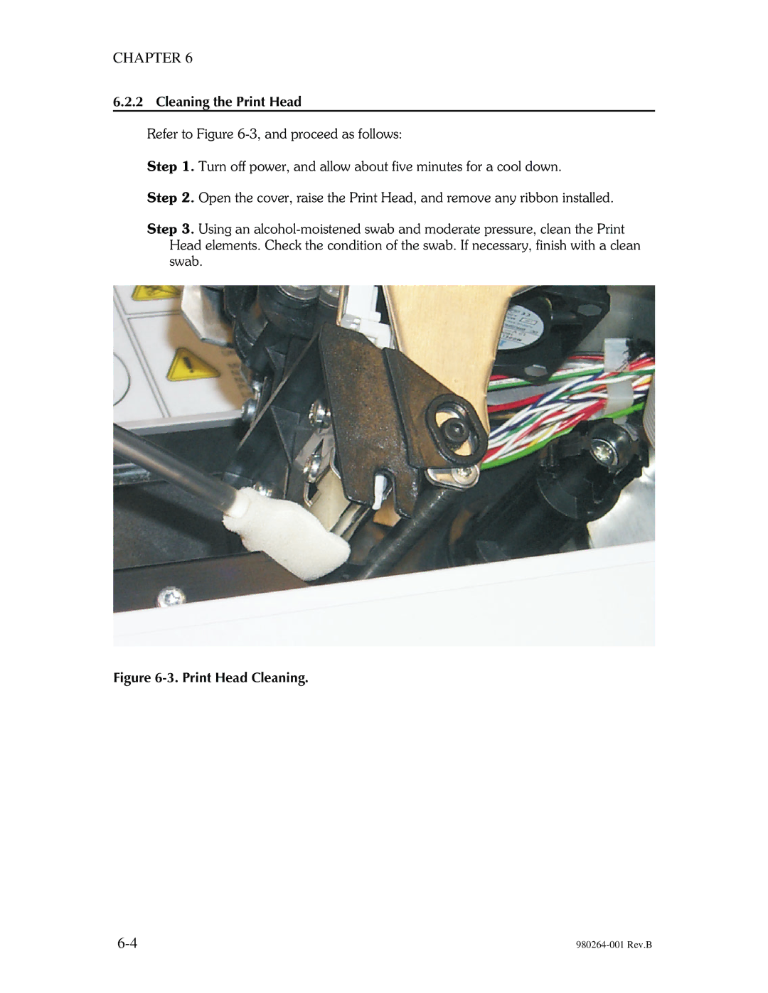 The Eltron Company P310 manual Cleaning the Print Head, Print Head Cleaning 