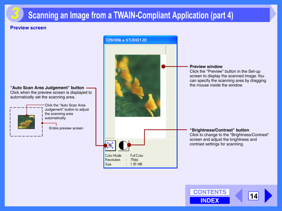 Toshiba 120 manual Preview screen, Auto Scan Area Judgement button 