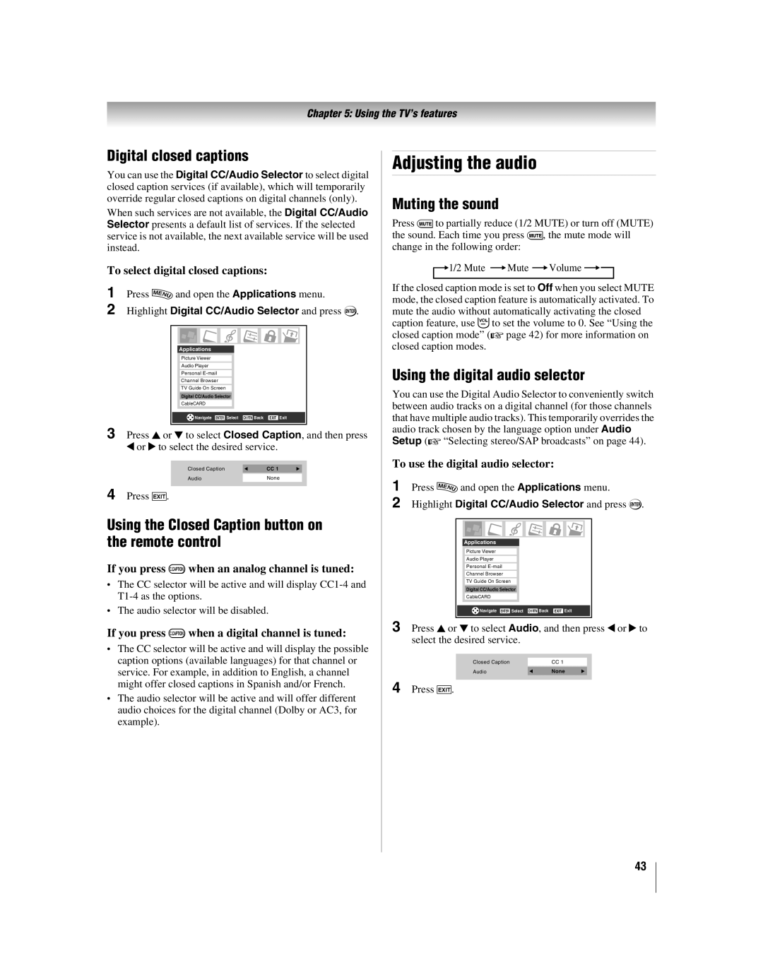 Toshiba 42LZ196 manual Adjusting the audio, Digital closed captions, Using the Closed Caption button on the remote control 