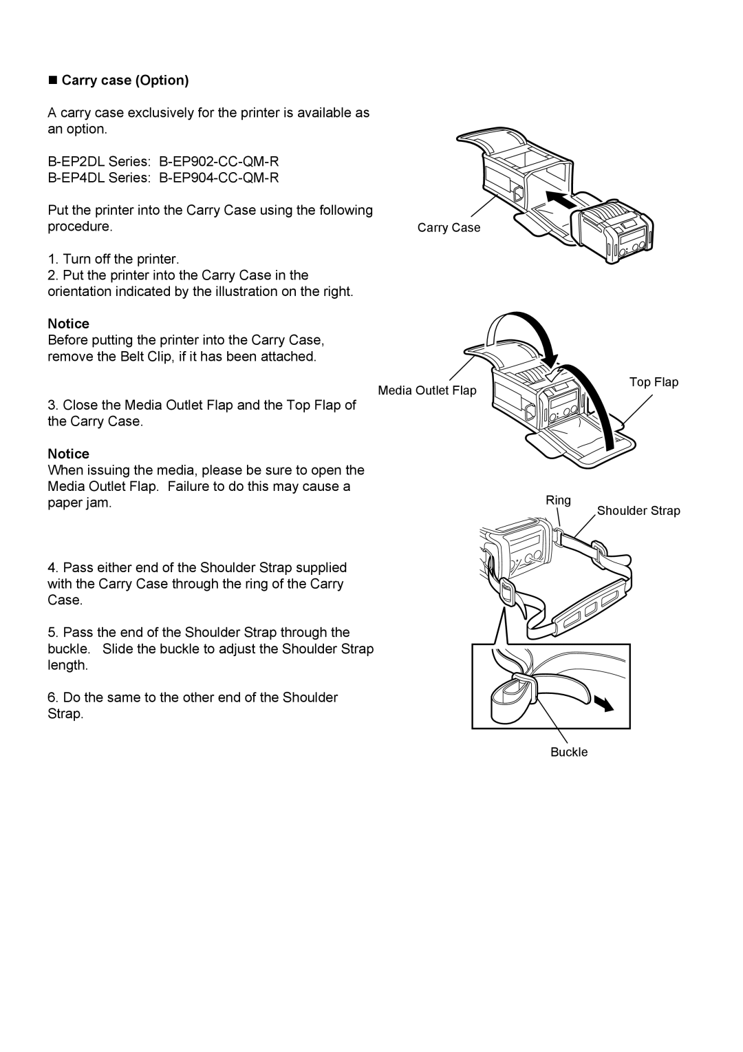 Toshiba B-EP4DL, B-EP2DL owner manual „ Carry case Option 