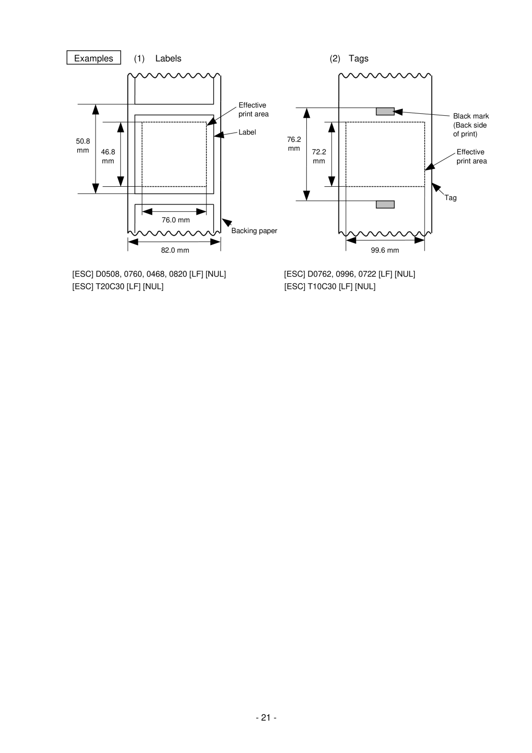 Toshiba GC10-QM, B-SV4D-GS manual Examples Labels Tags 