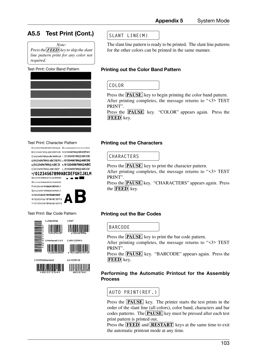 Toshiba CB-416-T3-QQ owner manual Slant Linem, Color, Characters, Barcode, Auto Printref 