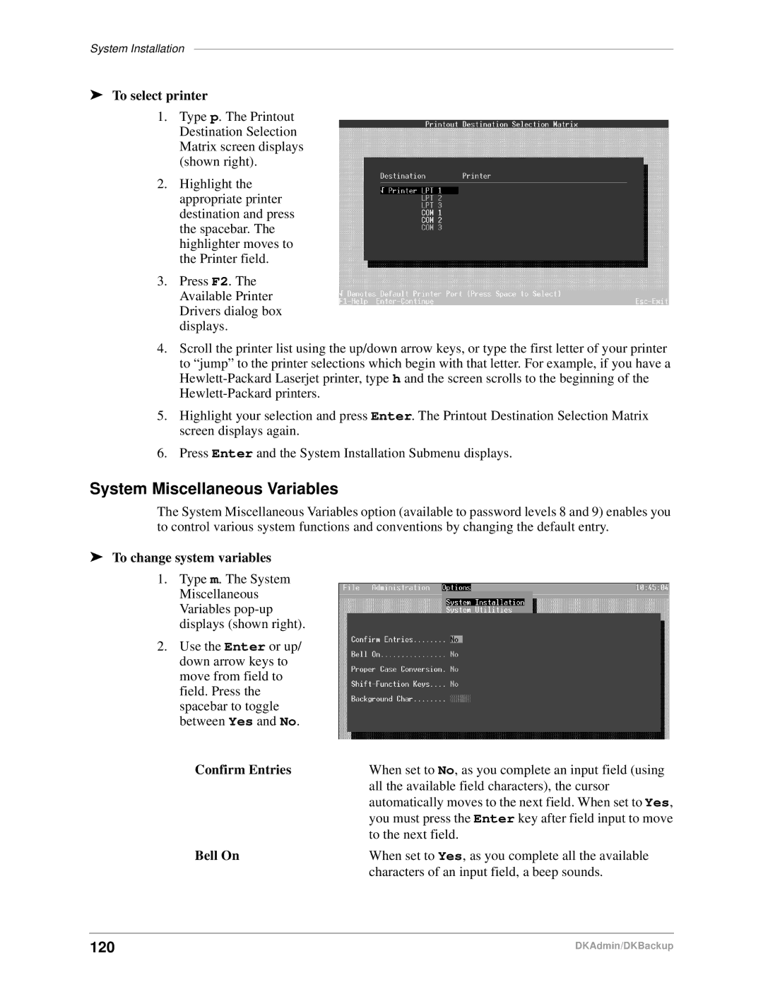 Toshiba DK Admin, DK Backup manual System Miscellaneous Variables, 120 