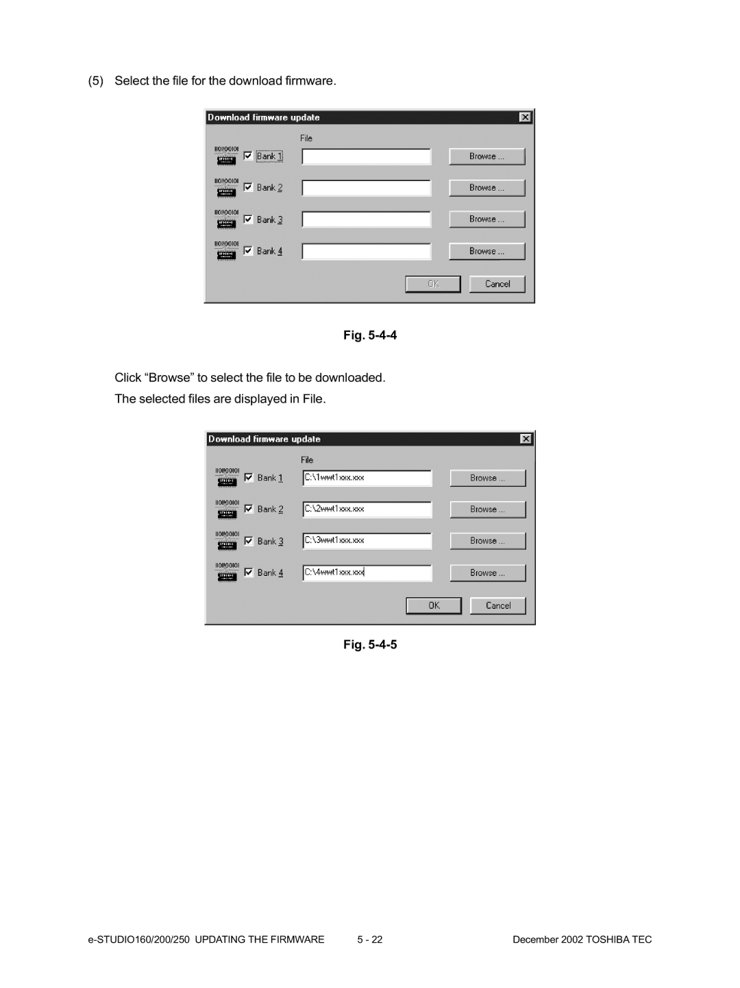 Toshiba e-Studio250, e-Studio200, e-Studio160 manual 