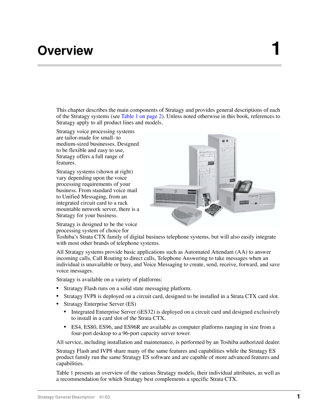 Toshiba ES96R, ES4, ES80, IVP8, IES32 manual Overview 