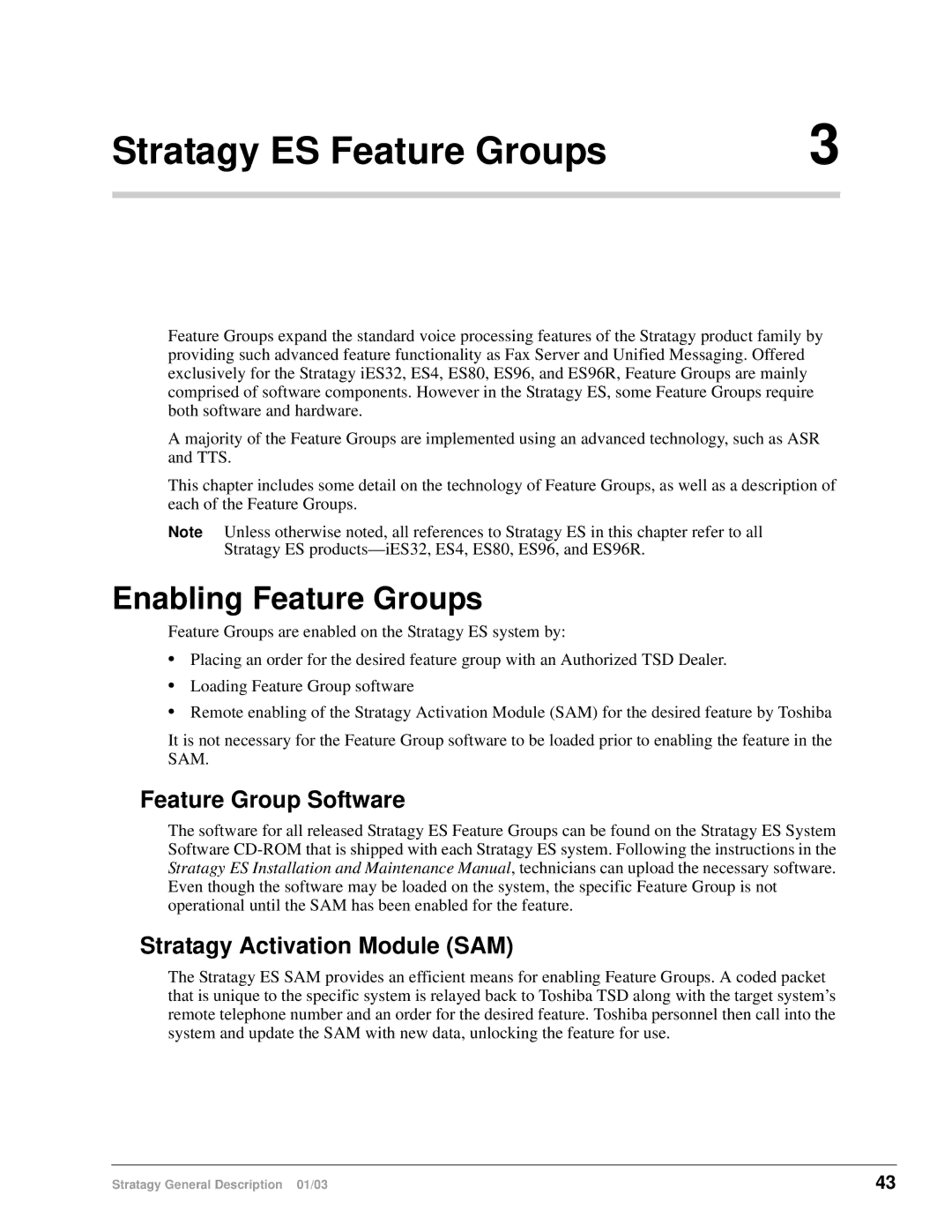 Toshiba ES96R Stratagy ES Feature Groups, Enabling Feature Groups, Feature Group Software, Stratagy Activation Module SAM 